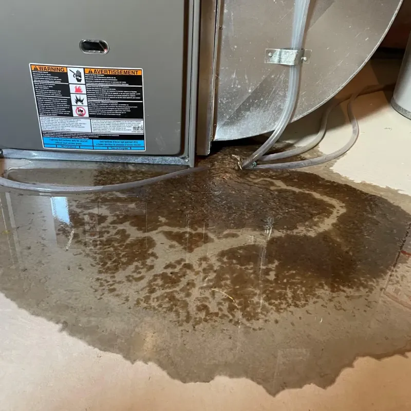 Appliance Leak Cleanup in Ludowici, GA